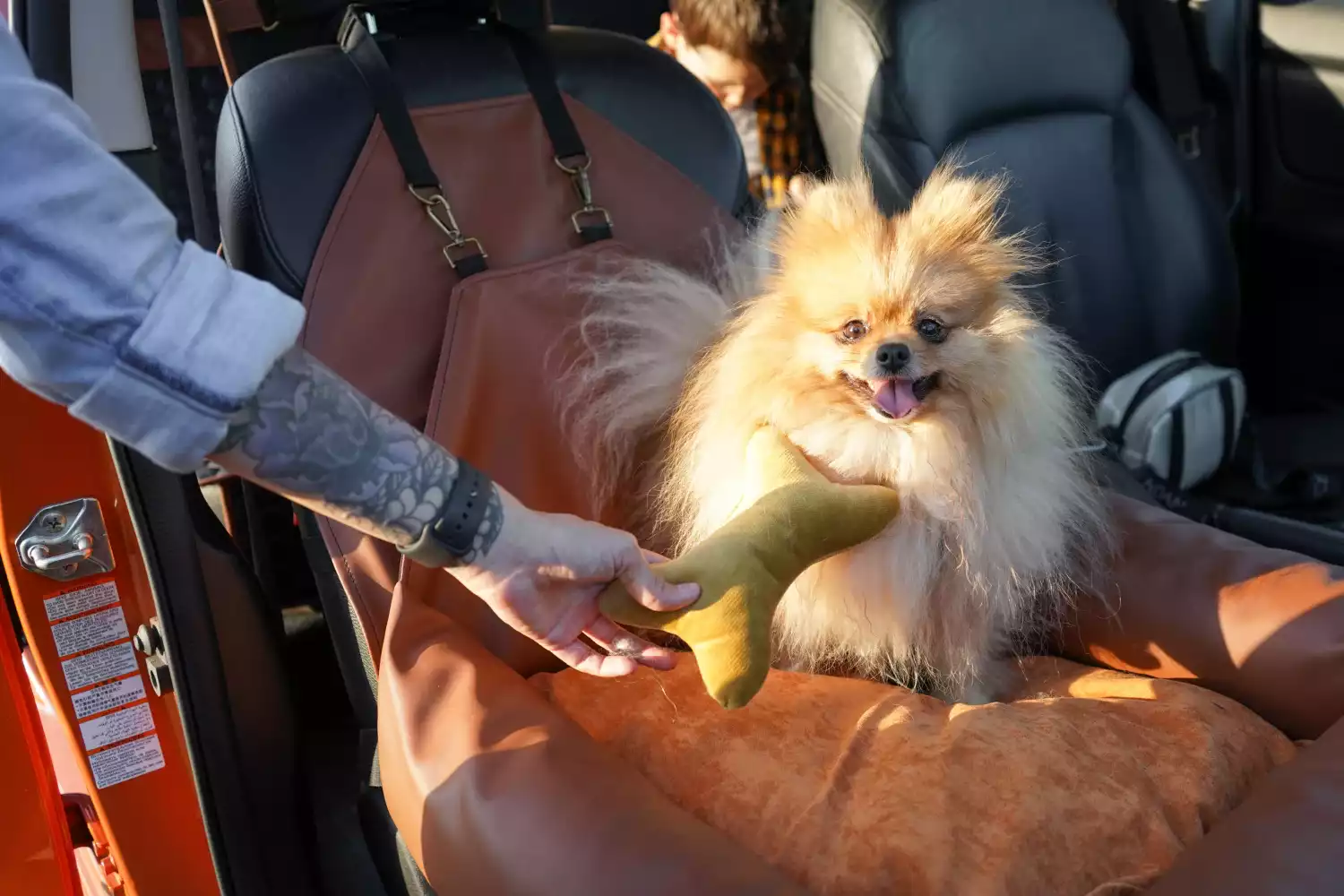 Shar-Pei Dog Car Seat for Chevrolet Blazer